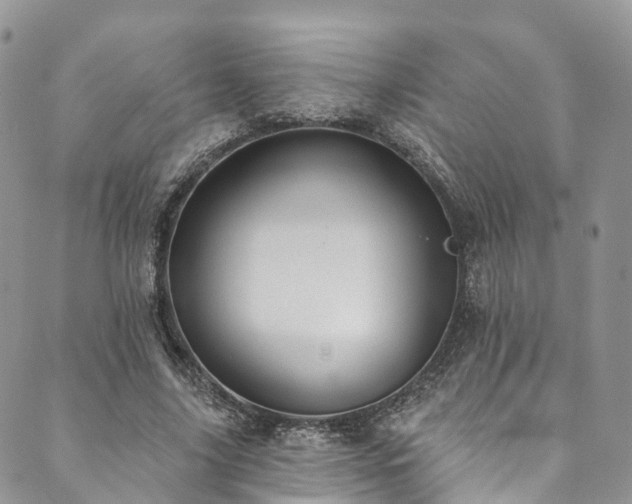 X0000090460635200707131254