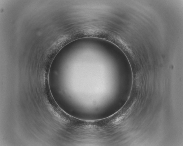 X0000090460637200707131254