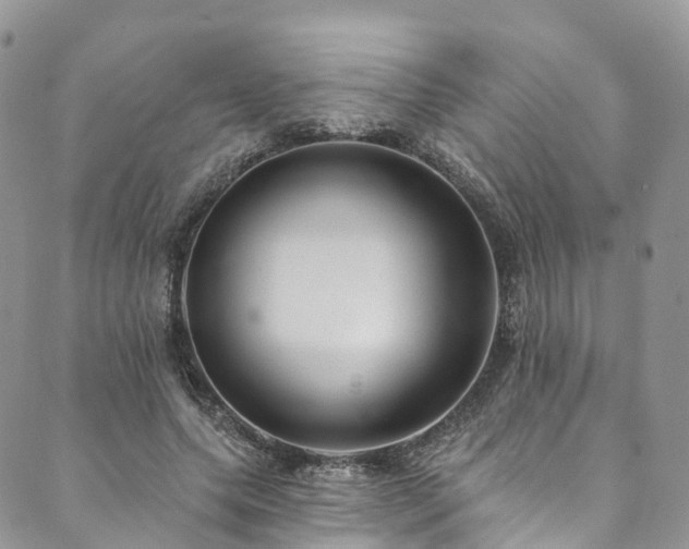 X0000090460639200707131254