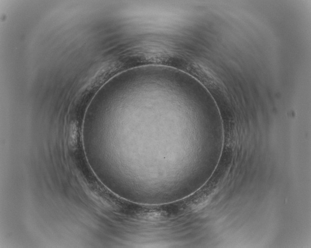 X0000090460646200707131254