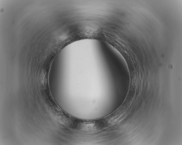 X0000090460651200707131254