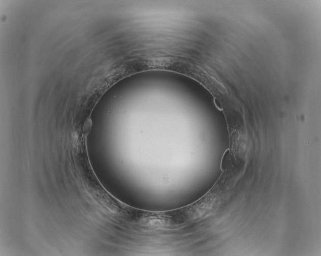 X0000090460655200707131254
