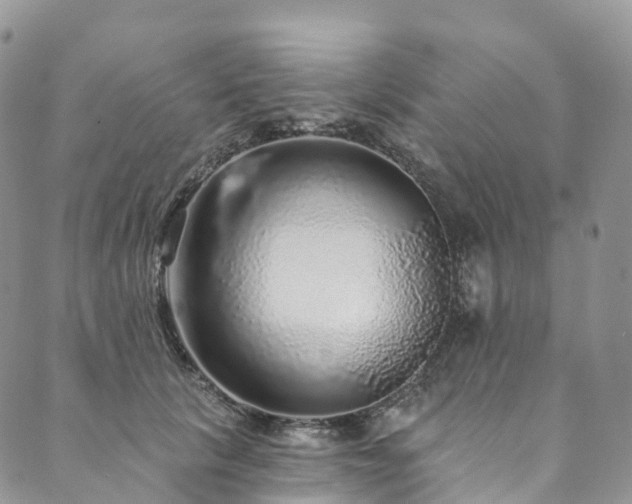 X0000090460657200707131254