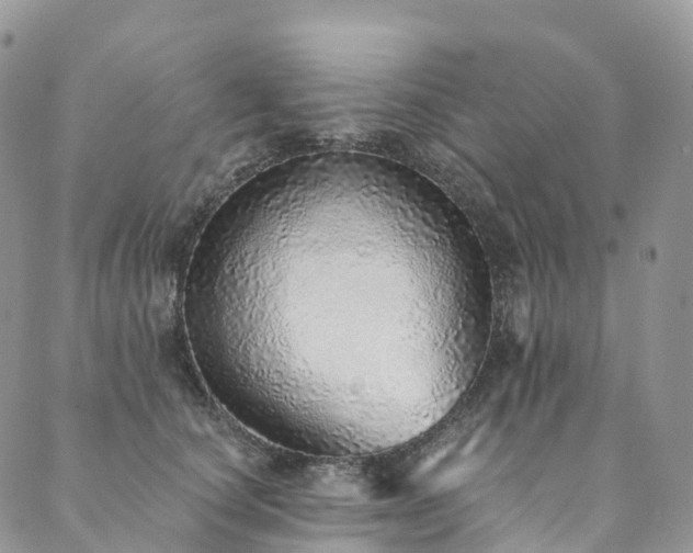 X0000090460660200707131255