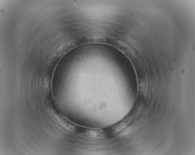 X0000090460662200707131255