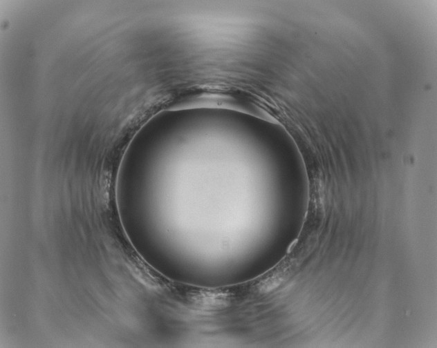 X0000090460664200707131255