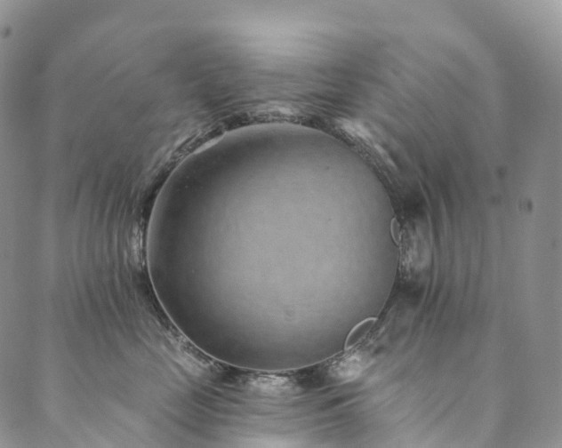 X0000090460669200707131255