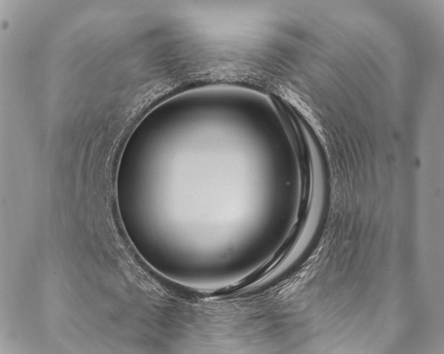X0000090460673200707131254