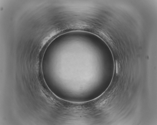 X0000090460675200707131254