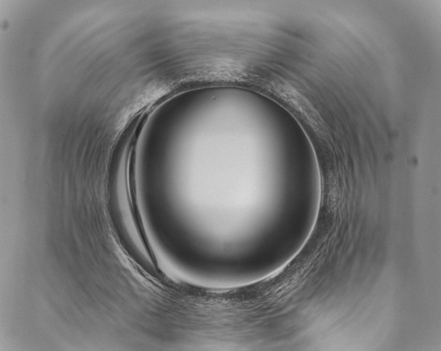 X0000090460677200707131254