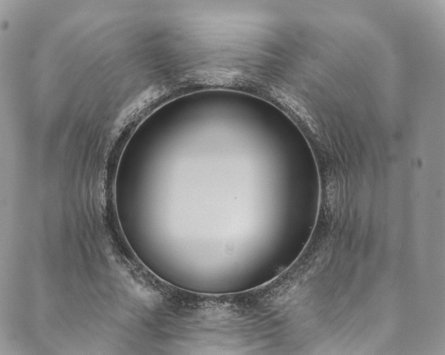X0000090460682200707131254