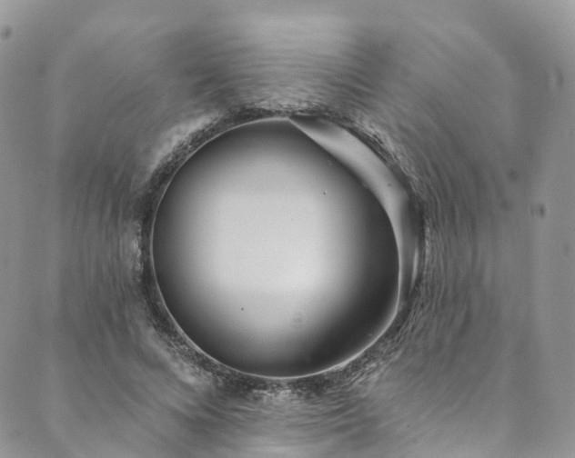 X0000090460688200707131254