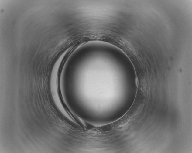 X0000090460697200707131254