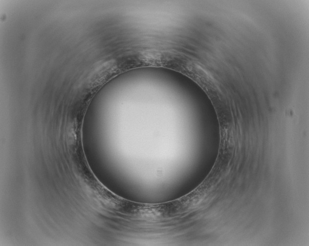 X0000090460702200707131253