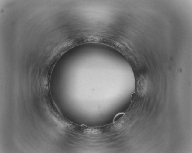 X0000090460714200707131253