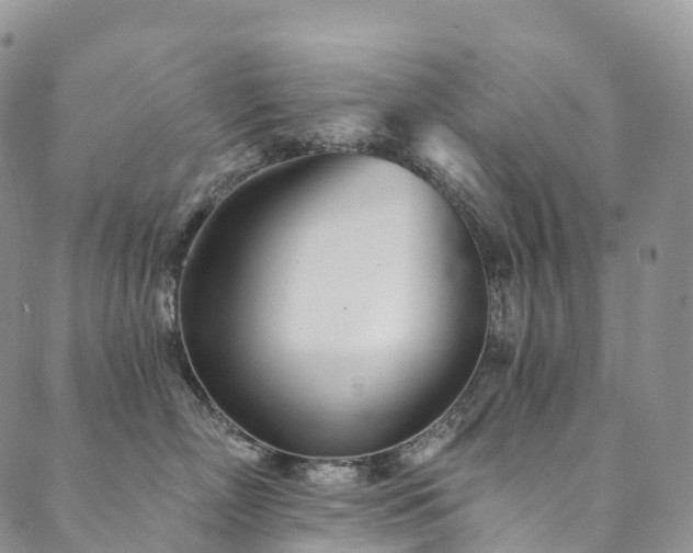 X0000090460718200707131253