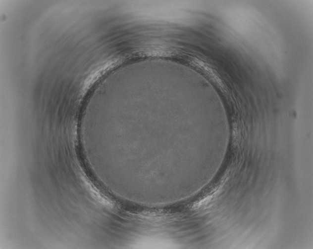 X0000090460725200707131252