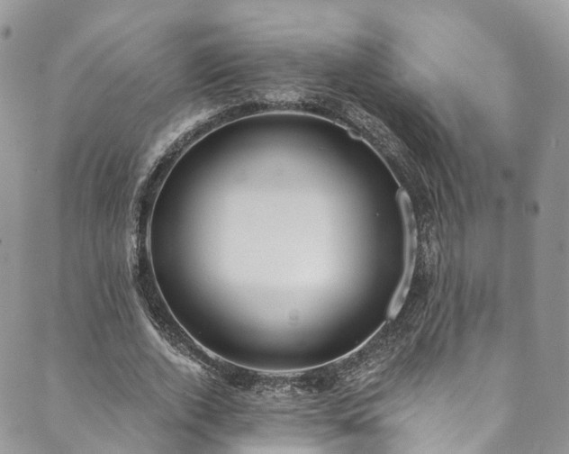 X0000090460728200707131253