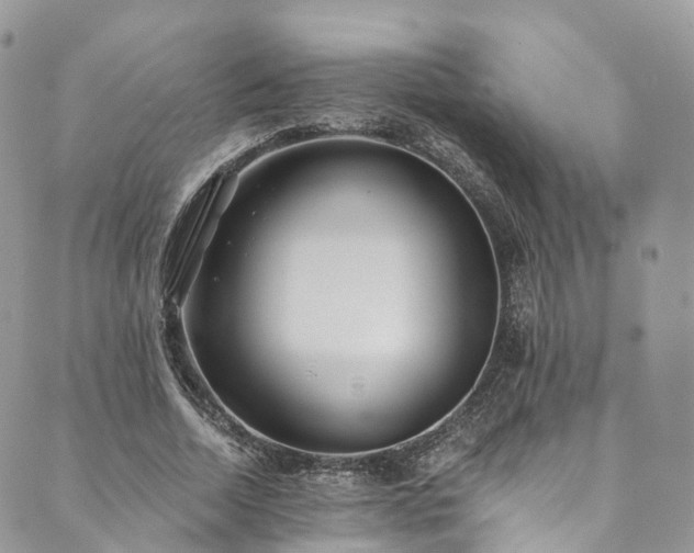 X0000090460730200707131253