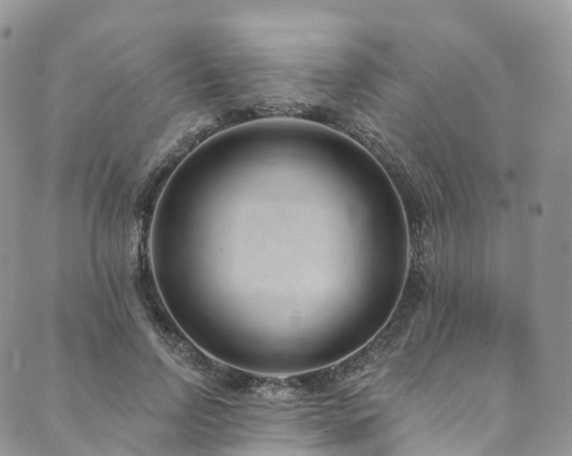X0000090460742200707131253