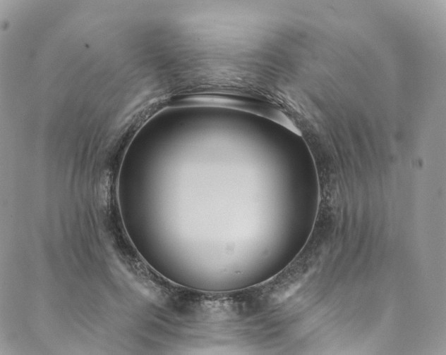 X0000090460744200707131253