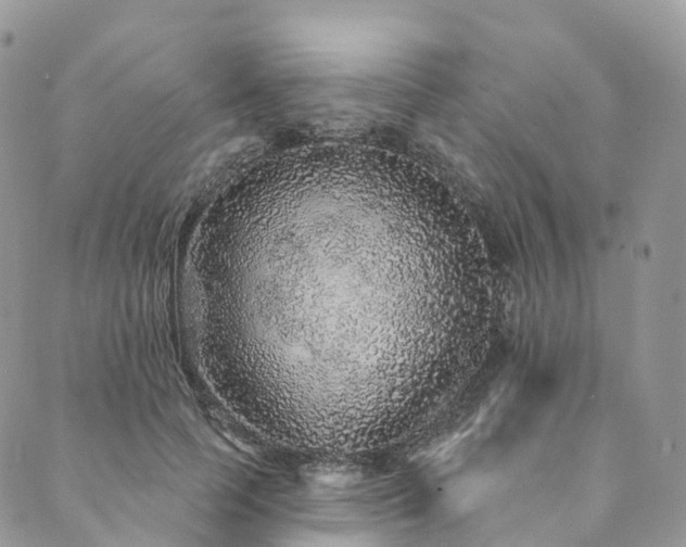 X0000090460745200707131253