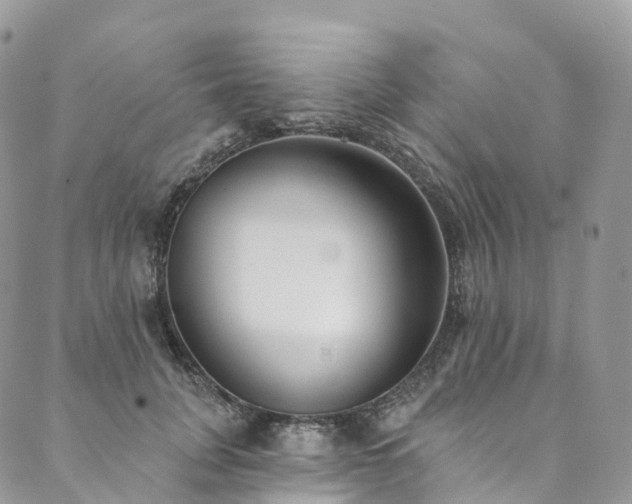 X0000090460751200707131253