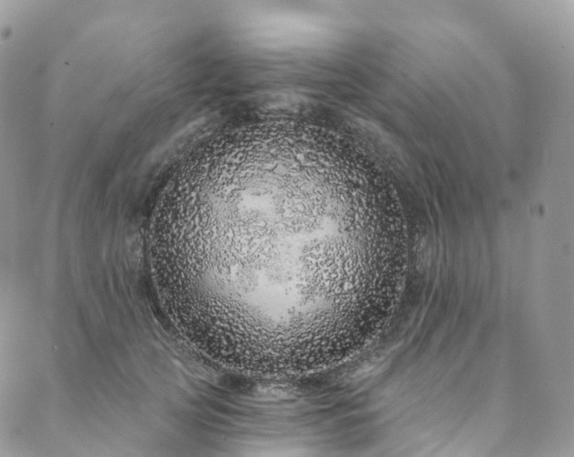 X0000090460753200707131253