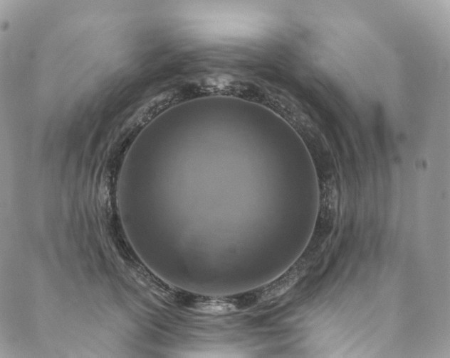 X0000090460754200707131253