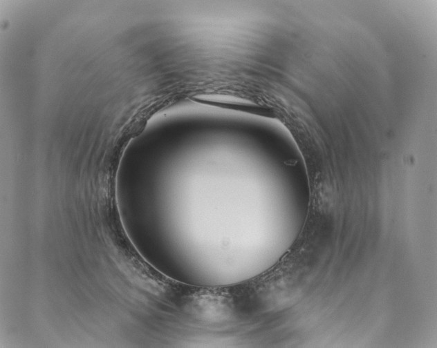 X0000090460756200707131253