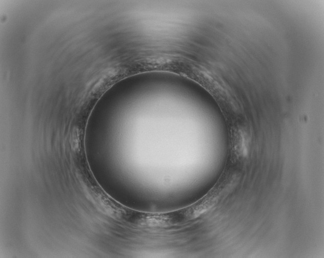 X0000090460758200707131253
