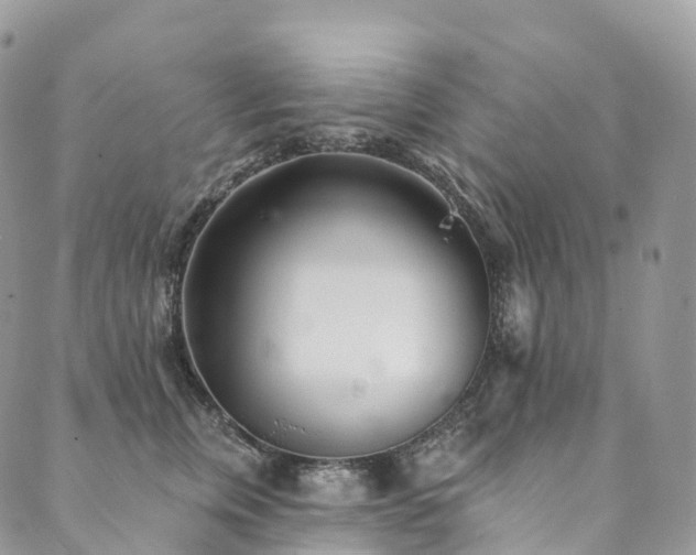 X0000090460759200707131253