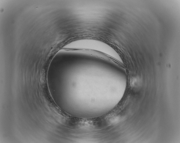 X0000090460760200707131253