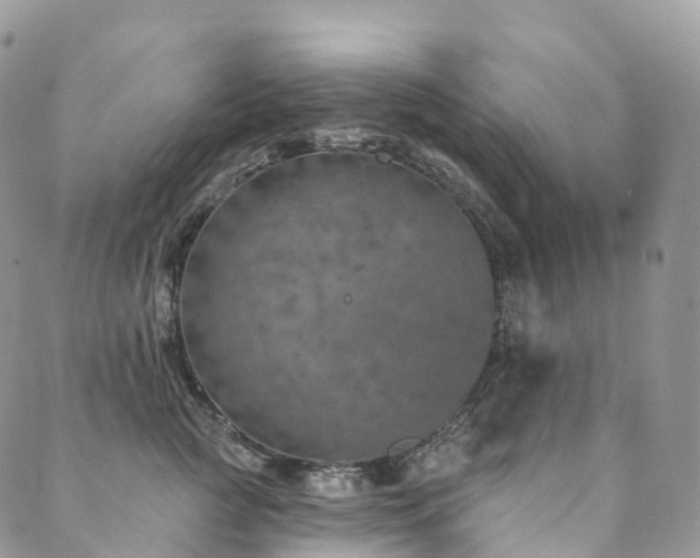 X0000090460761200707131253