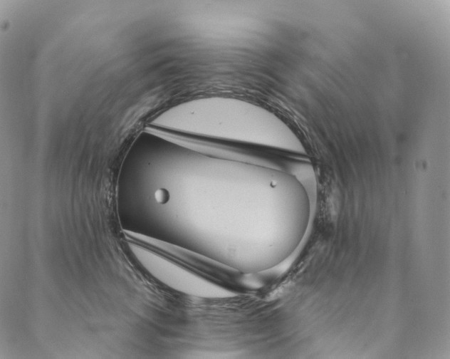 X0000090460762200707131253