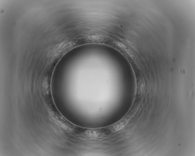 X0000090460764200707131253