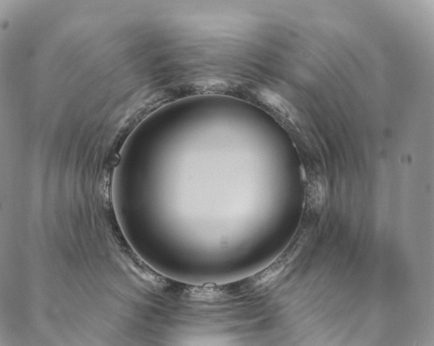 X0000090460766200707131253