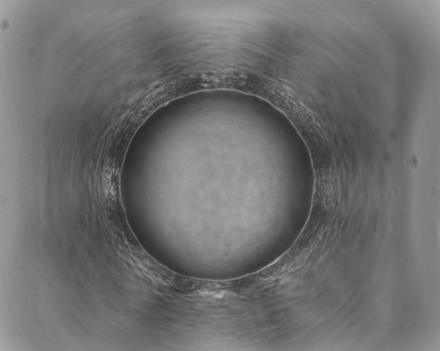 X0000090460770200707131252