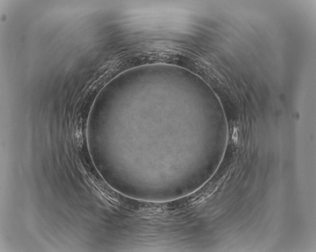 X0000090460771200707131252