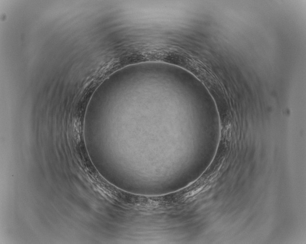 X0000090460772200707131252