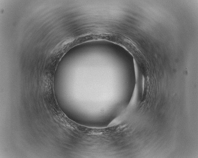 X0000090460773200707131252