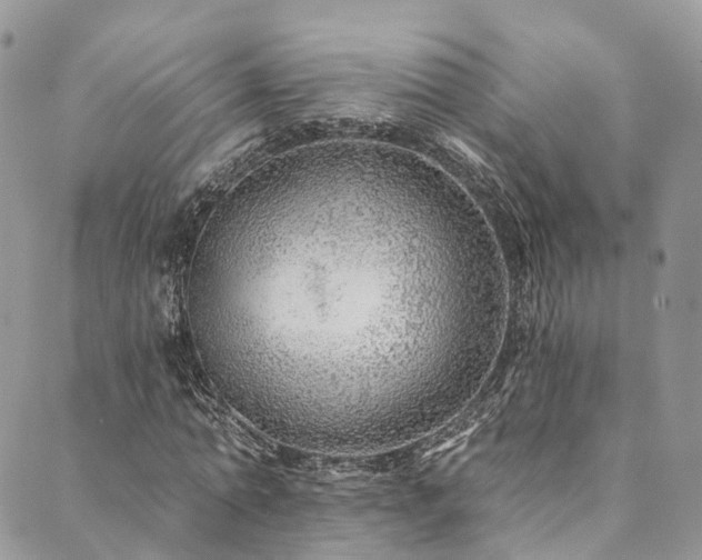 X0000090460774200707131252