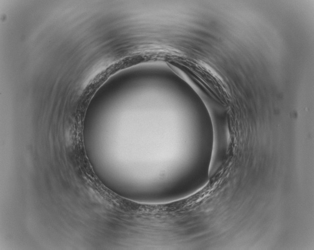 X0000090460775200707131252