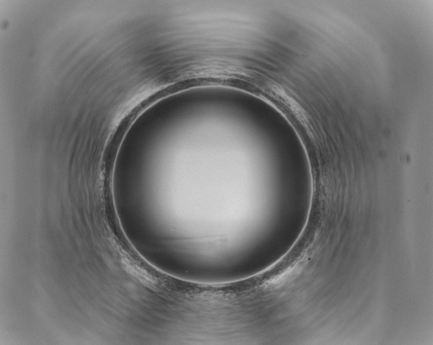 X0000090460779200707131252