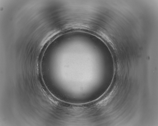 X0000090460782200707131252