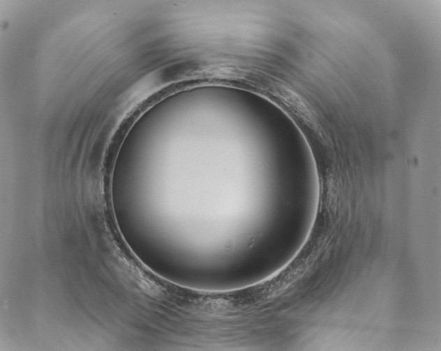 X0000090460784200707131252