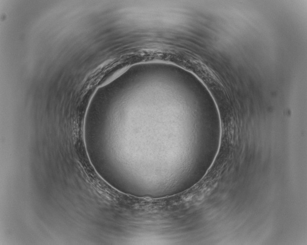 X0000090460821200707131251