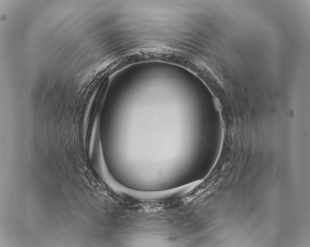 X0000090460822200707131251