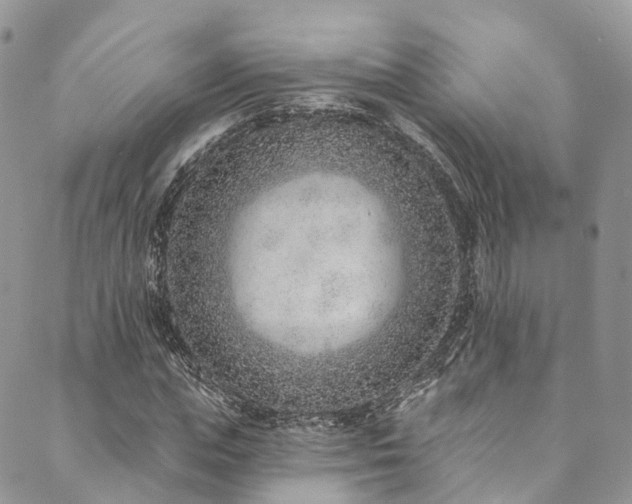 X0000090460823200707131251