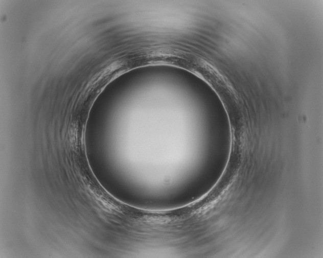 X0000090460825200707131251